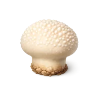 Puffball Mushroom 3D icon