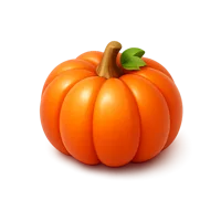Orange Pumpkin 3D icon