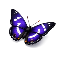 Purple Emperor Butterfly 3D icon