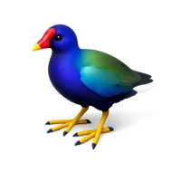 Purple Gallinule 3D icon