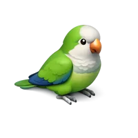 Quaker Parrot 3D icon