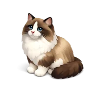 Ragamuffin Cat 3D icon