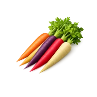 Rainbow Carrots 3D icon