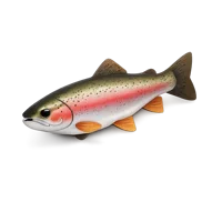 Red Rainbow Trout 3D icon