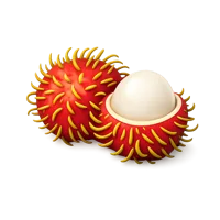 Rambutan 3D icon