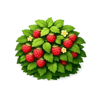 Raspberry Bush 3D icon