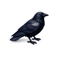 Raven 3D icon