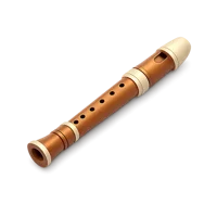 Recorder 3D icon
