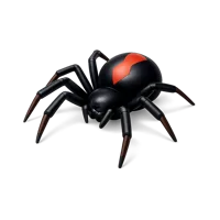 Redback Spider 3D icon