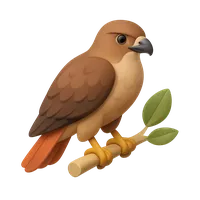 Red Tail Hawk 3D icon