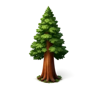 Green Redwood 3D icon