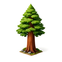 Green Redwood Tree 3D icon