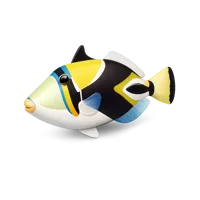 Reef Triggerfish 3D icon