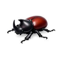 Rhinoceros Beetle 3D icon