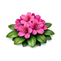 Rhododendron 3D icon