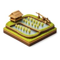 Rice Field 3D icon