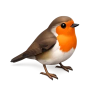 Robin 3D icon