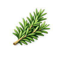 Green Rosemary 3D icon
