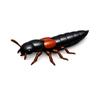 Rove Beetle 3D icon