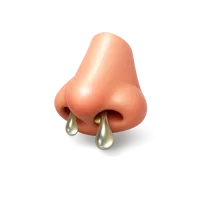 Runny Nose 3D icon
