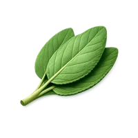 Sage Leaf 3D icon