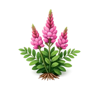 Sainfoin 3D icon