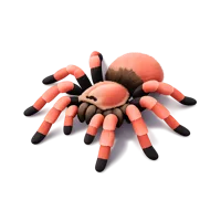 Salmon Pink Tarantula 3D icon