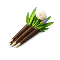 Salsify 3D icon