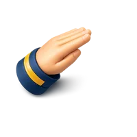 Salute 3D icon