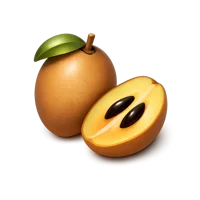 Sapodilla 3D icon
