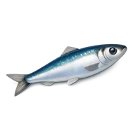 Blue Sardine 3D icon