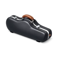 Saxophone Case 3D icon