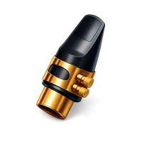 Saxophone Mouthpiece 3D icon