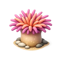 Sea Anemone 3D icon