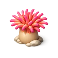 Red Sea Anemone 3D icon
