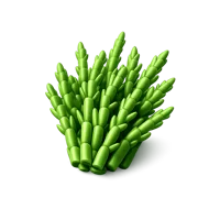 Sea Asparagus 3D icon