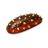 Red Sea Cucumber 3D icon