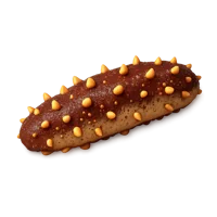 Sea Cucumber 3D icon