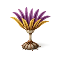 Sea Lily 3D icon