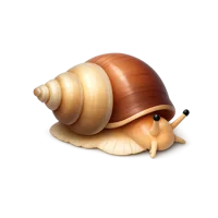 Sea Snail 3D icon