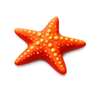 Sea Star 3D icon