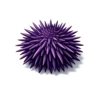 Sea Urchin 3D icon