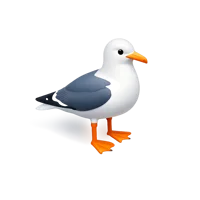Orange Seagull 3D icon