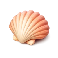 Orange Seashell 3D icon