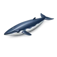Sei Whale 3D icon