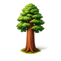 Sequoia Tree 3D icon