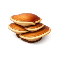 Shelf Mushroom 3D icon