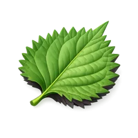 Shiso Leaf 3D icon