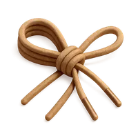 Shoelace 3D icon