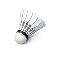 Shuttlecock 3D icon